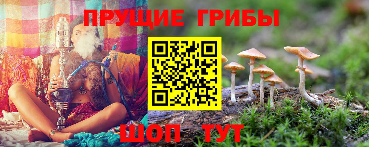 Кокаин  Героин  НБОМе  Alpha-PVP СК кристаллы  Гашиш  Конопля  Гашиш  Вход с VPN  Меф МЯУ МЯУ   Старая Купавна  КЕТАМИН 